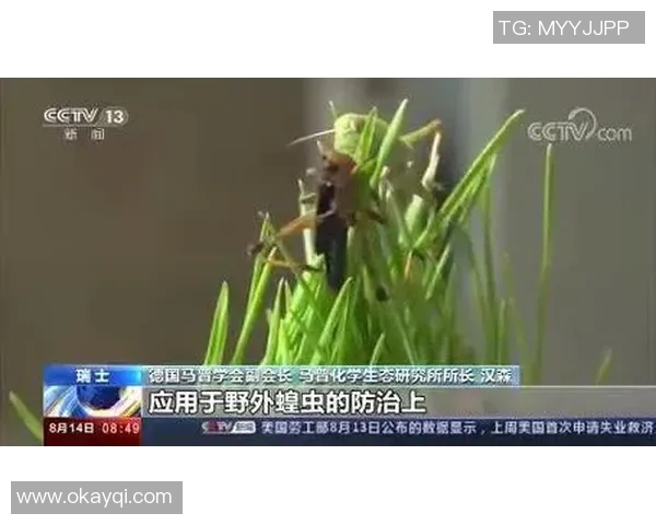 黄蜂生态与行为研究：揭示其在自然界中的关键角色与生存策略