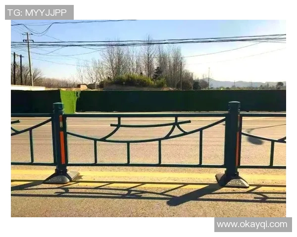 交通护栏在城市道路安全中的关键作用与未来发展趋势分析